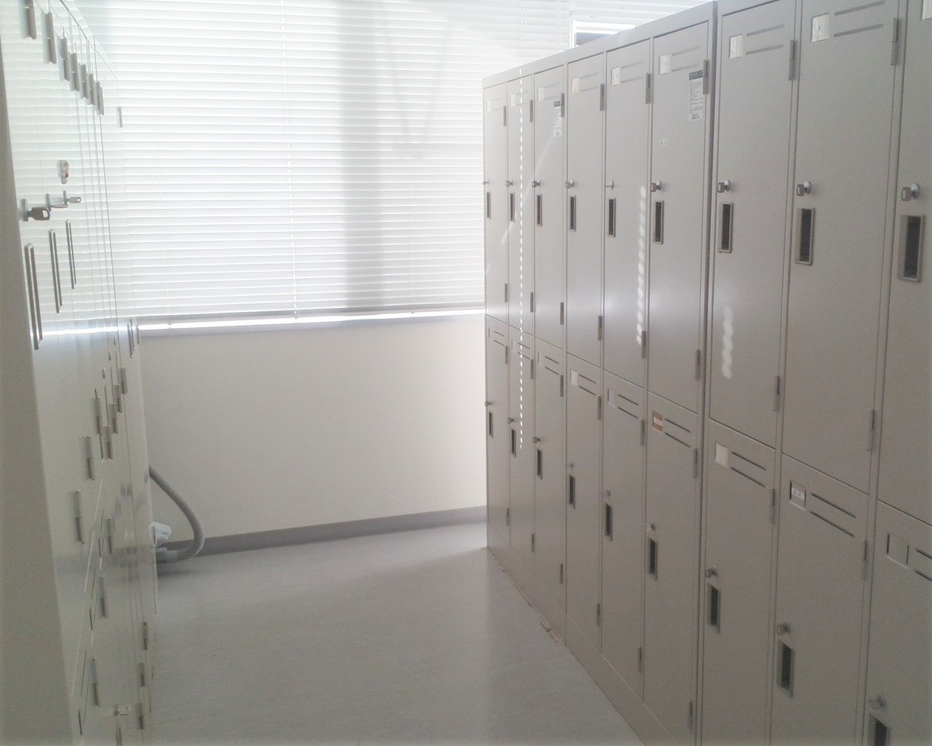 イトウ六ホールディングス株式会社｜断裁加工機③